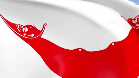 Easter Island Waving Flag Background Loop Stock Footage 317845569