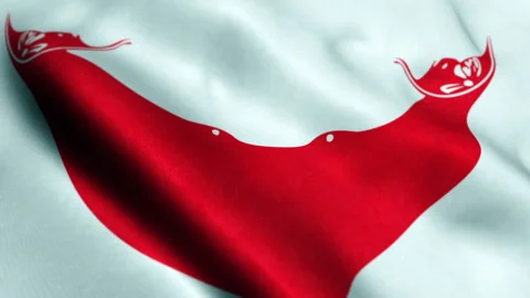 Easter Islands Flag - Seamless Loop 스톡 동영상 219004045