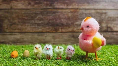 Easter Joy: The Hatching of Festive Chicks Video stock 261548912