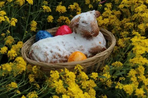 Easter lamb and eastereggs in sweet alyssum Stock Photos