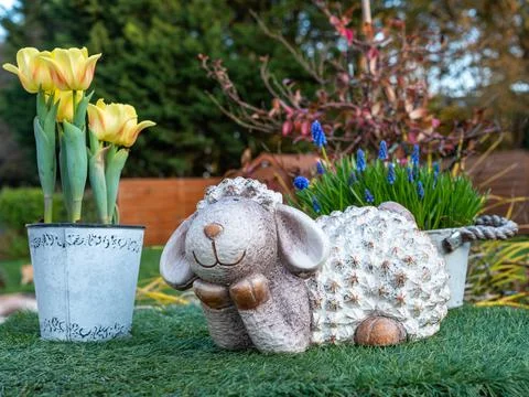 Easter lamb lying on the green grass next to yellow tulip flowers, the backgr Stock Photos