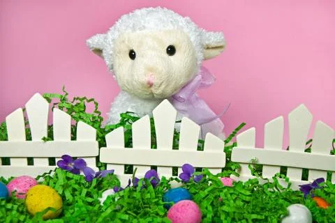 Easter lamb Stock Photos