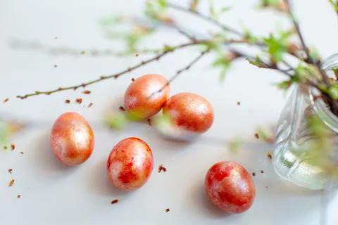 Easter light still life with spring twigs with delicate greens, red and gold Stock Photos