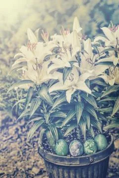 Easter lilies and easter eggs Stock Photos