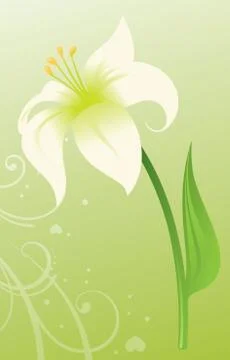 Easter lily Stock Illustration