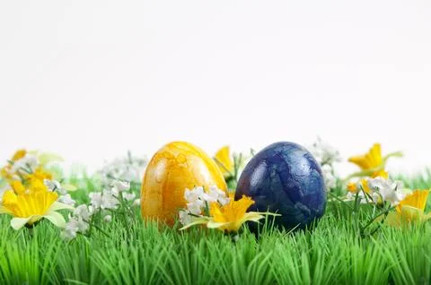 Easter meadow Stock Photos