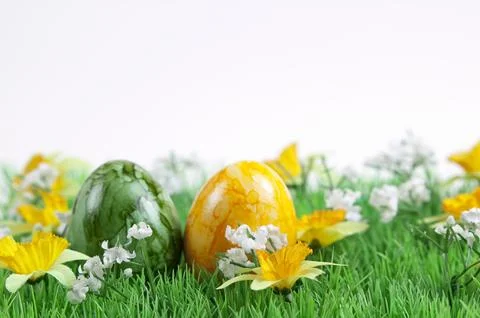 Easter meadow Stock Photos