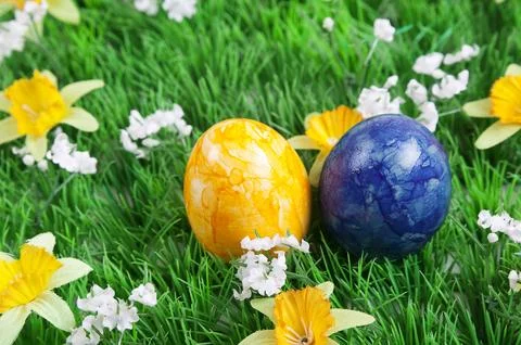 Easter meadow Stock Photos