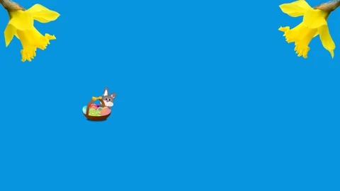 Easter message Happy easter with daffodil, easter nest Stock Footage 267881060