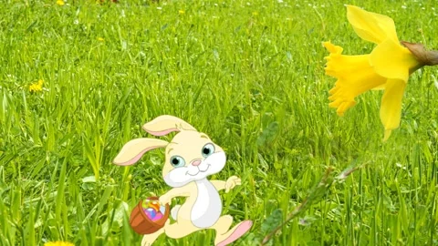 Easter message Happy easter with running easter bunny Stock Footage 267863811