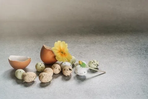 Easter minimal background with colorful Easter eggs and yellow violet flowers Stock Photos