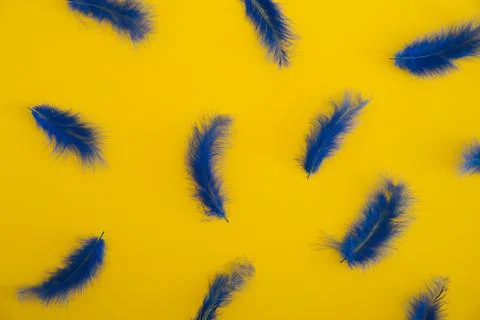 Easter minimalistic layout on yellow background Stock Photos