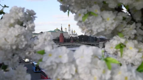 Easter Moscow Kremlin view Stock Footage 239934391