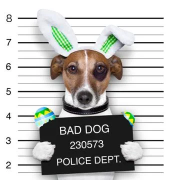 Easter mugshot dog Stock Illustration