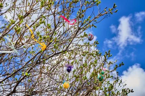 Easter multi-colored eggs hang from a tree in the garden against a blue sky Stock Photos
