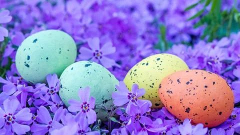 Easter multicolored eggs on violet flowers Stock Photos