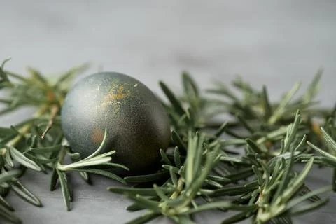 Easter. Naturally colored egg background. Selective focus on egg and rosemary Stock Photos