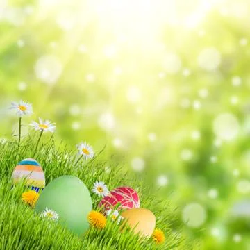 Easter Nature Holiday Background Stock Photos