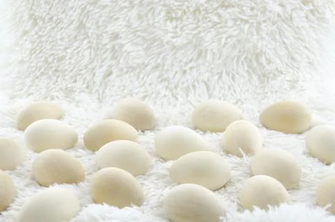 Easter nature spring scene. Beautiful natural eco wooden eggs on fur background Stock Photos