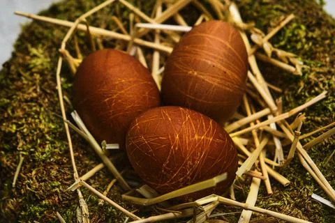 Easter nest with easter eggs close up Stock Photos