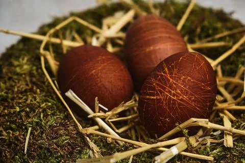 Easter nest with easter eggs close up Foto stock