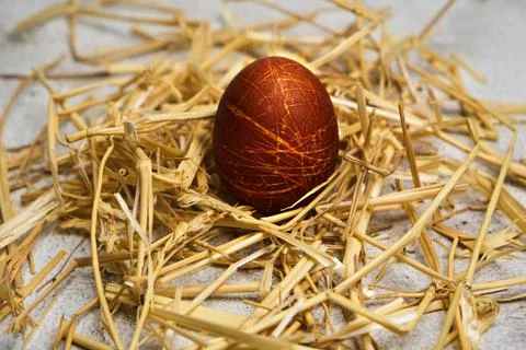 Easter nest with easter eggs close up Stock Photos