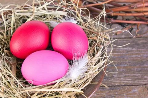 Easter nest Stock Photos