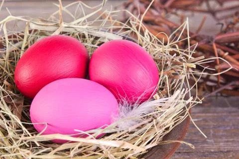 Easter nest Stock Photos