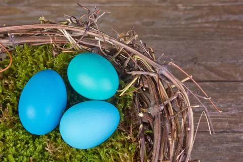 Easter nest Stock Photos