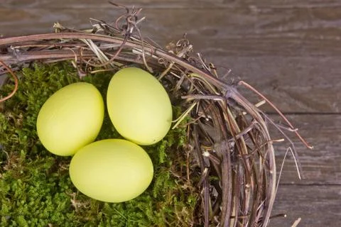 Easter nest Stock Photos