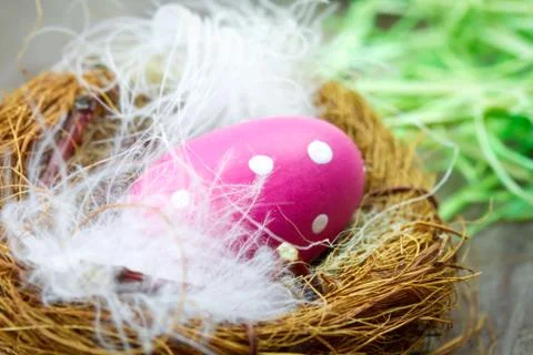 Easter nest Stock Photos