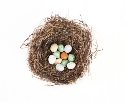 Easter nest 写真素材