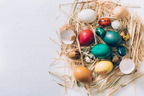 Easter nest Stock Photos