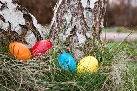 Easter nest Stock Photos
