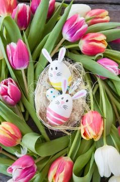 Easter nest with tulips Stock Photos