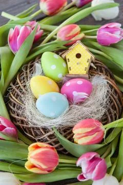Easter nest with tulips Stock Photos