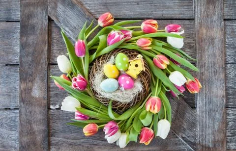 Easter nest with tulips Stock Photos