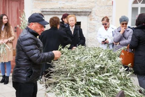 Easter olive branches Stock Photos