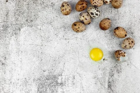 Easter or spring background with small fresh quail eggs. Ecoproduct. Quail .. Stock Photos