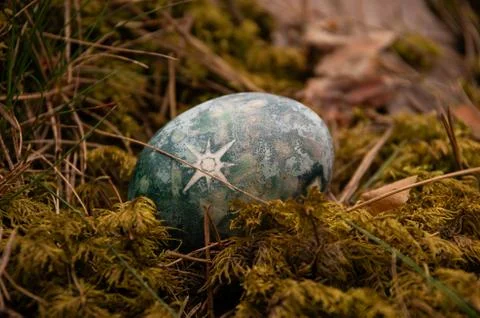 Easter painted blue egg with star on moss Foto stock