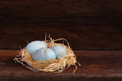 Easter painted duck eggs in natural raffia nest on rough dark wooden backgr.. Stock Photos