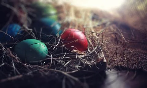 Easter painted eggs on burlap 写真素材