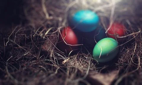 Easter painted eggs on burlap 库存照片