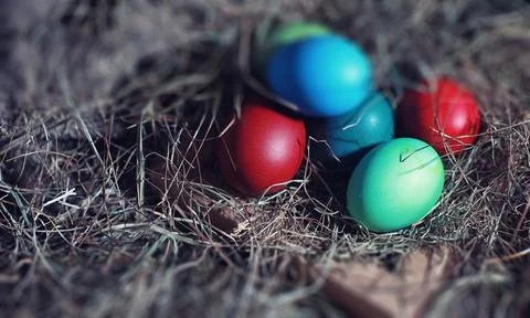 Easter painted eggs on burlap 库存照片
