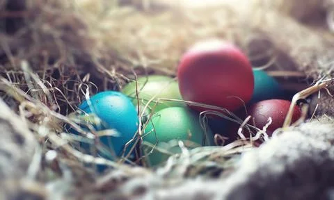 Easter painted eggs on burlap 写真素材