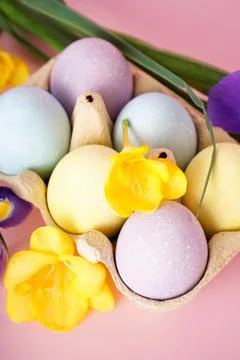 Easter painted eggs in egg tray with flowers on yellow background. Close-up Stock-Fotos