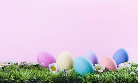 Easter painted eggs in the grass card Stock Photos