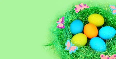 The easter painted eggs on a green. Stock Photos