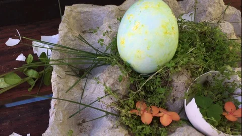 Easter. Painted eggs. We paint eggs, paints, for children. green grass, shells Stock Footage 101804978