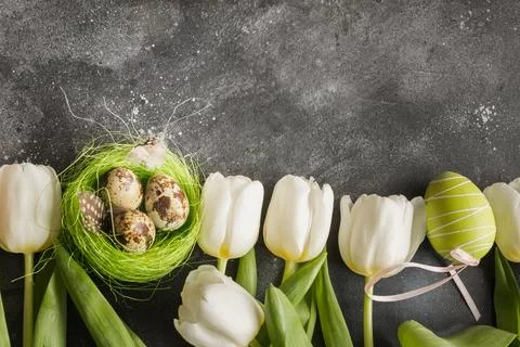 Easter pattern. Border of white tulips, eggs, nest on vintage gray. Stock Photos